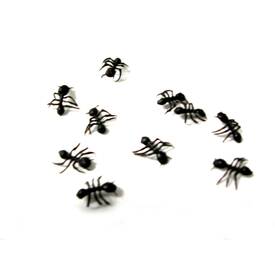 Ameisen schwarz Originalgröße ca. 40...